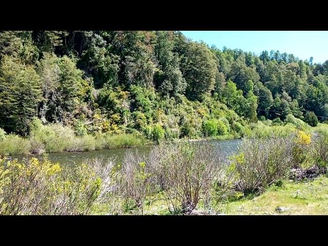 Parcela en sector Las Huellas (Los Lagos, Folilco, video V)