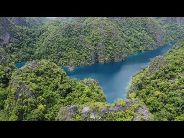 The Kayangan Lake - Coron's Best Tourist Destination | Wiztatz Tv