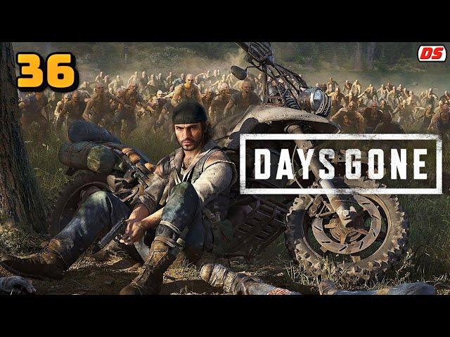 Days Gone. Во благо других. Прохождение № 36. (ПК)