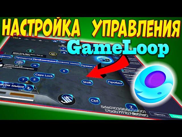 НАСТРОЙКА УПРАВЛЕНИЯ GAMELOOP В CALL OF DUTY MOBILE | МОИ НАСТРОЙКИ РАСКЛАДКИ | gameloop управление