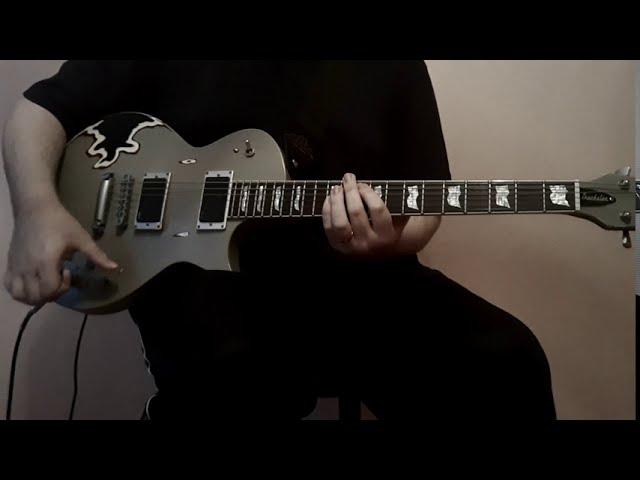 Rammstein - Pussy [guitar cover]