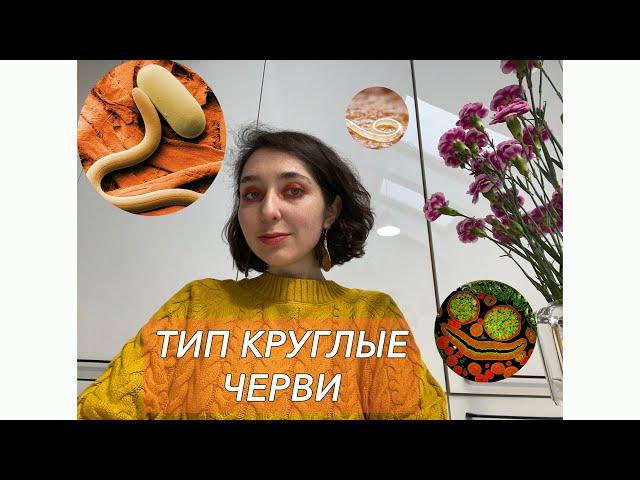 Урок "Тип Круглые черви" - ЦТ, ЕГЭ, ЗНО