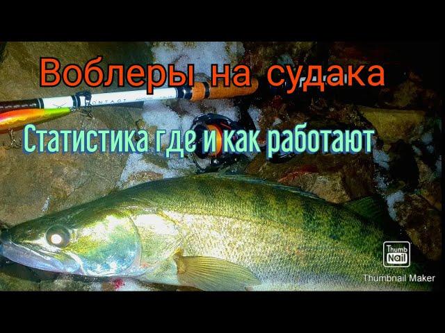 Ночной судак на воблеры. Статистика по воблерам где в каких условиях использовать воблеры.