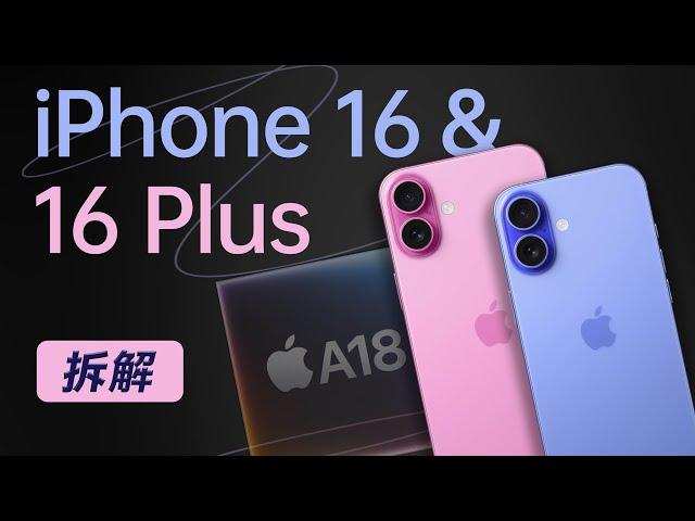 iPhone 16&16 Plus 拆解：被刀法耽误的标准版【享拆】- 微机分WekiHome