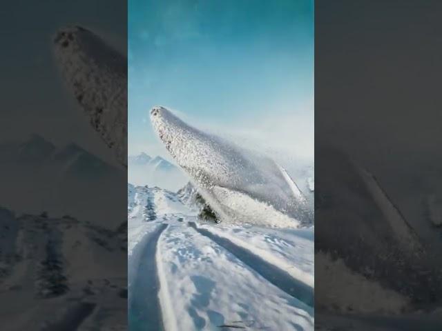 Mountain Whale