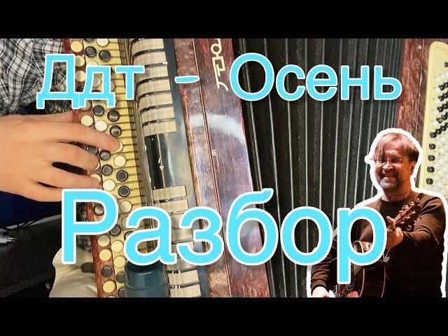 Учимся играть на баяне ДДТ - ОСЕНЬ (Для новичков)