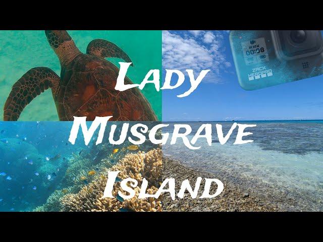 Exploring Lady Musgrave Island - Southern Great Barrier Reef