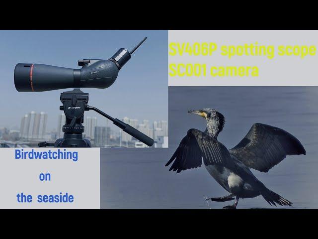 SVBONY SV406P spotting scope SC001 WIFI camera -Observation of migratory birds!