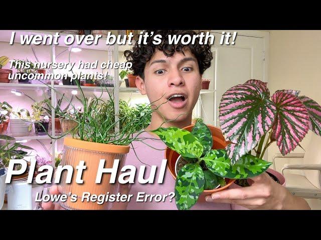 Wishlist , Uncommon, Plant Haul! Plants From Lowes & a Far Nursery! 🪴 2025