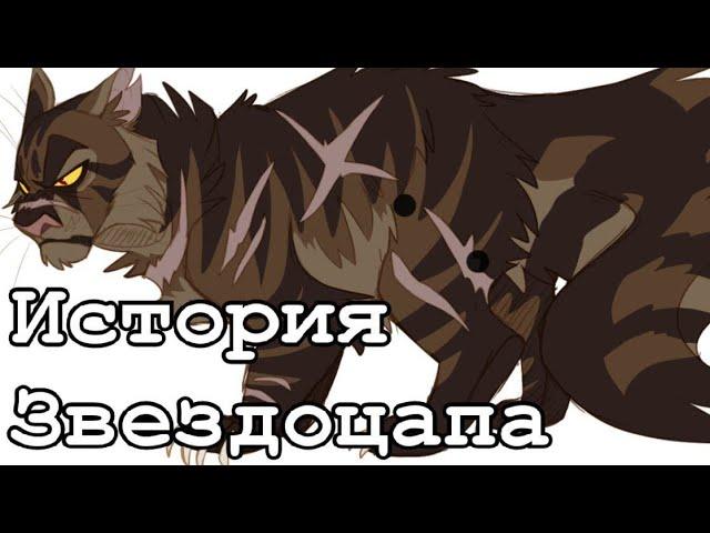 История Звездоцапа(по просьбе подписчика)/Коты-воители