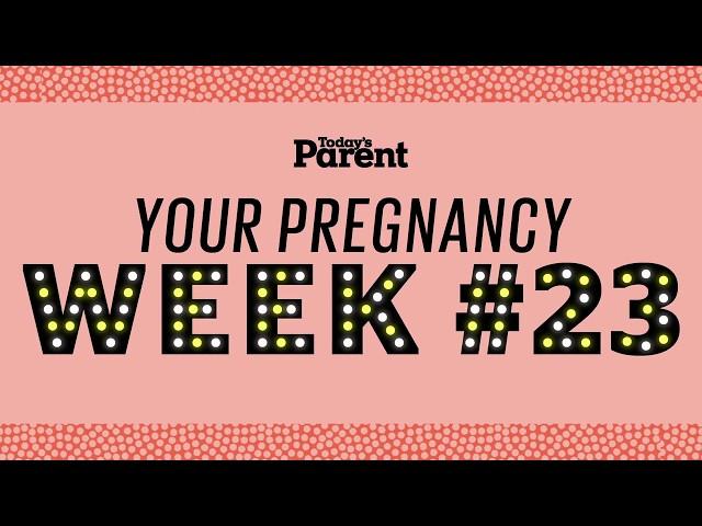 Your pregnancy: 23 weeks