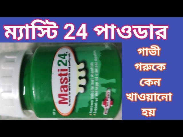 Masti 24 powder ম‍্যাসটি 24 পাউডার দুগ্ধবতী গাভীকে খাওয়ানোর উপকারিতা 