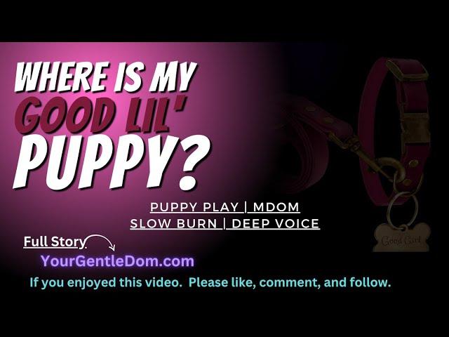 [Puppy Space ASMR] Where is My Good lil Puppy | M4F | Roleplay ASMR | Mdom | Comfort ASMR