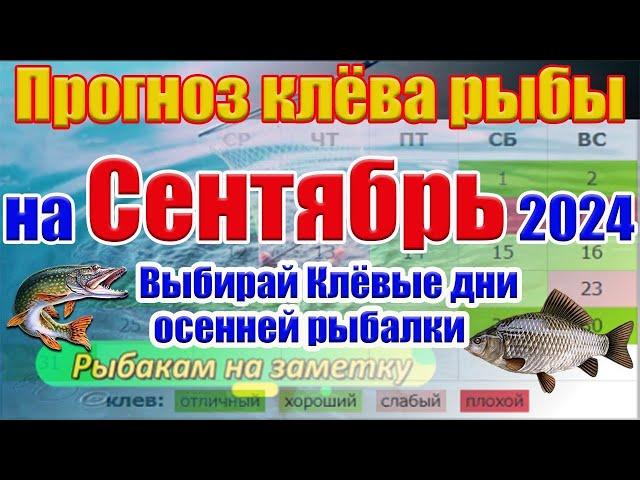 Календарь рыбака на Сентябрь 2024 Прогноз клёва рыбы на неделю Календарь клева рыбы