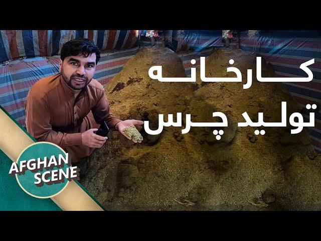 Hashish Factory in Afghanistan | چرس افغانستان چگونه تولید میشود؟ - دیدار از کارخانه چرس در پکتیا