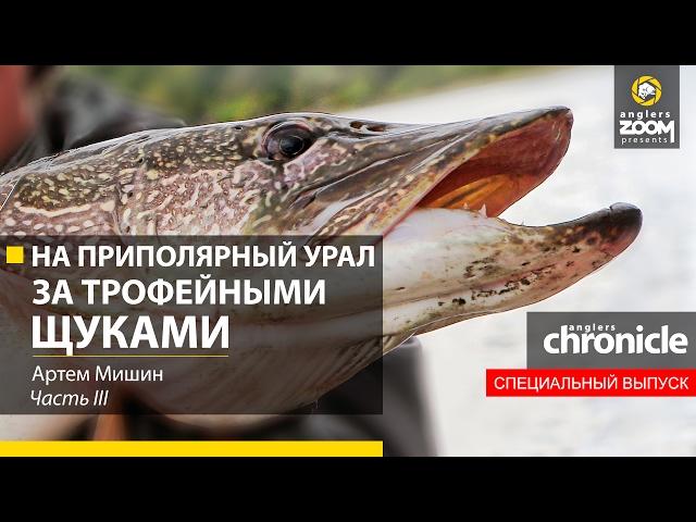 На Приполярный Урал за трофейными щуками. Часть 3. Артем Мишин. Anglers Chronicle