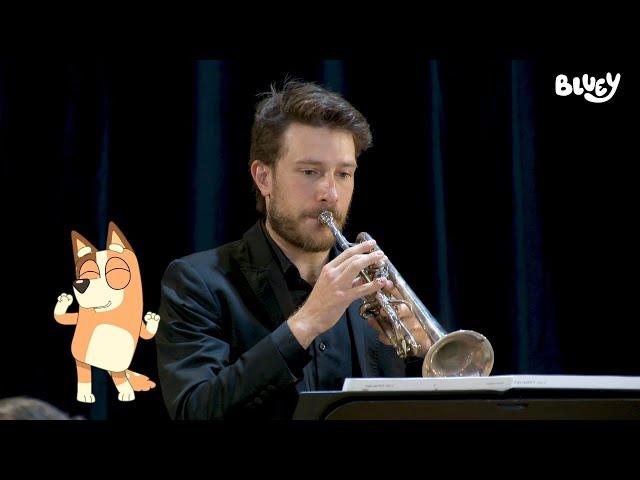 Theme Song | Melbourne Symphony Orchestra | Bluey