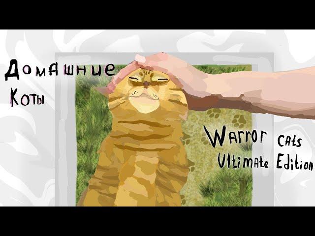 Домашние коты`в`Warrior Cats : Ultimate Edition