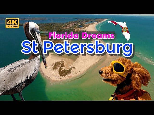 Florida Dreams - St Petersburg & St Pete Beach