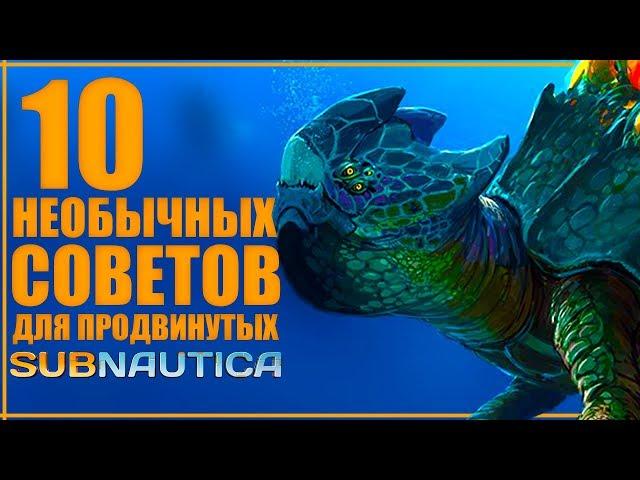 10 НЕочевидных советов по Subnautica в 2019