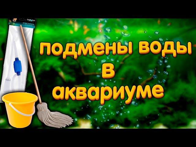 Подмены воды в аквариуме. Сколько, как часто и почему.