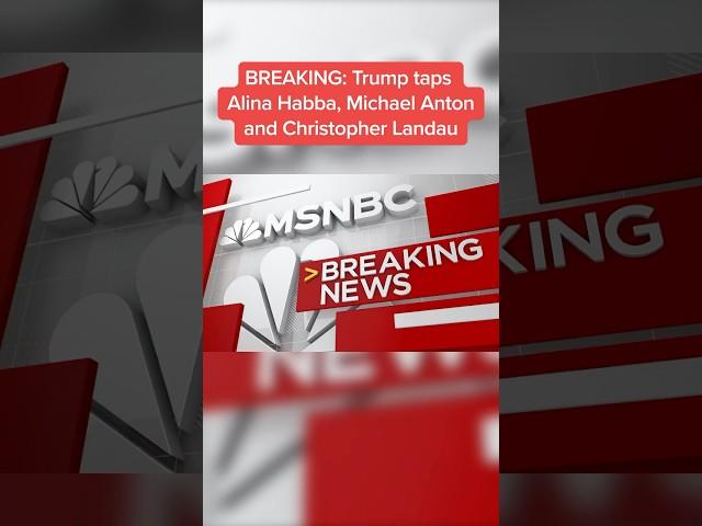 BREAKING: Trump taps Alina Habba, Michael Anton, and Christopher Landau