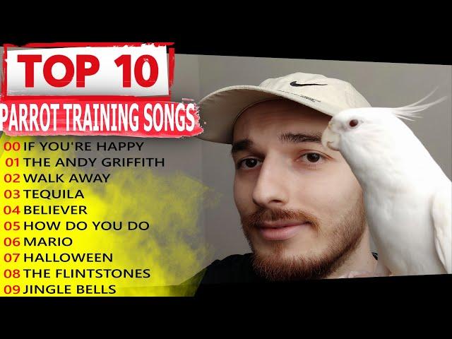 MY BEST COCKATIEL TRAINING SONGS EVER for Cockatiel Singing! Parrot Training