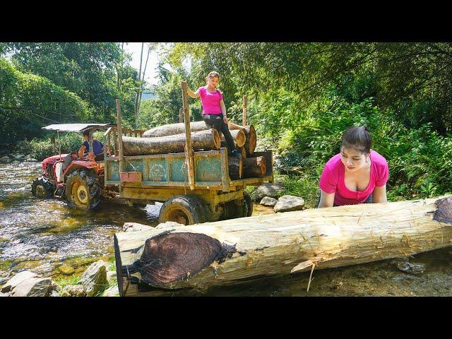 Transport Wood and Erect Large Wooden Pole to Prepare For a One-pole Cabin. Ly Hoang Linh