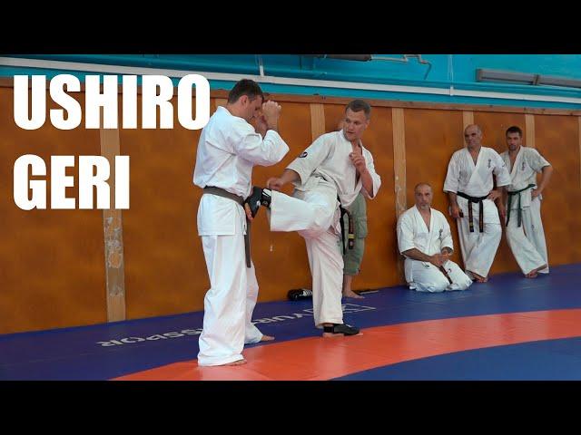 Ushiro Geri / Уширо гэри от сэнсея Андрея Чиркова