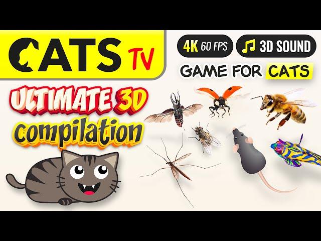 CAT TV - ULTIMATE 3D compilation 🪰 for CATS  4K 3 HOURS