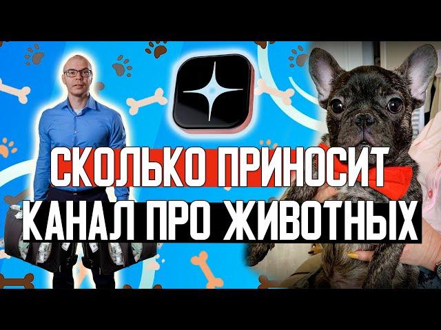 Сколько Дзен платит за Контент про домашних Животных