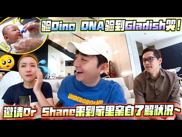 验Dino DNA验到Gladish哭，邀请Dr Shane来到家里亲自了解状况【Neucleus Dna Test】