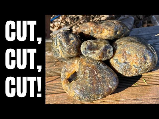 CUTTING Montana AGATES: What's Inside these CHUNKY ROCKS?!