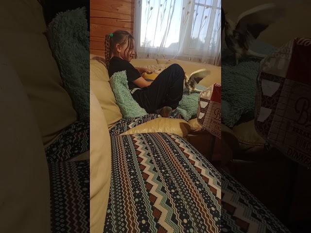 #кирюша#попугайчик#