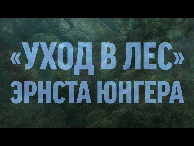 Александр Михайловский. «Уход в Лес» Эрнста Юнгера. О возможности свободы в эпоху постгуманизма.