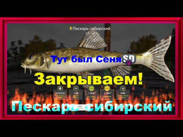 Русская рыбалка 4 Тунгуска. Закрываем! Пескарь сибирский.