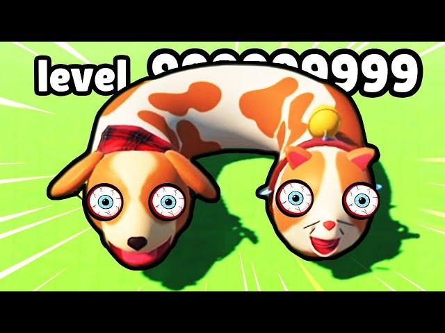 HIGHEST EVOLUTION UNLOCKED? - Cats & Dogs 3D