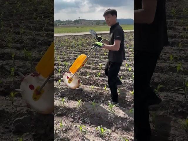 agricultural skills. Artificial hand-pulled plow for digging