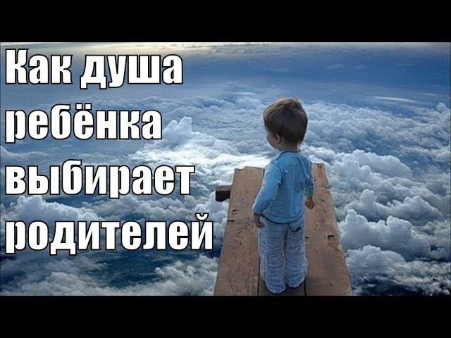 КАК ДУША РЕБЁНКА ВЫБИРАЕТ СЕБЕ РОДИТЕЛЕЙ?