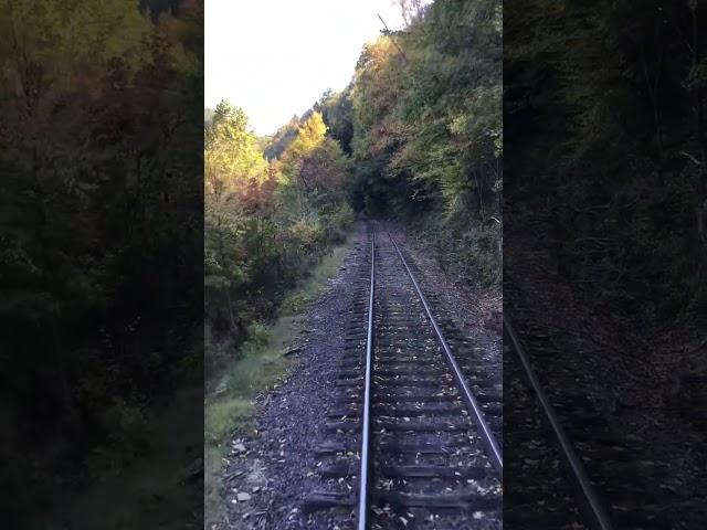 A great day for a train ride.  #springstitchknits #fall #trains #blessed #scenic #feelingblessed