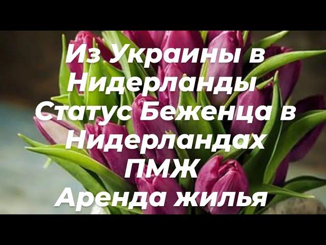 Из Украины в Нидерланды Сатус Беженца в Нидерландах ПМЖ Аренда жилья