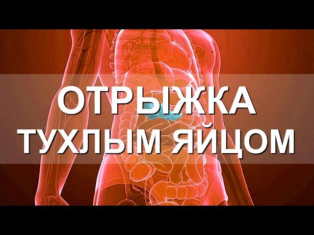 Отрыжка тухлыми яйцами. В ЧЕМ ОПАСНОСТЬ? Возможные заболевания. Причины тухлой отрыжки воздухом