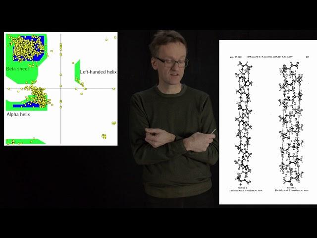 Lecture 05, concept 08: The alpha helix is right-handed due to L amino acids