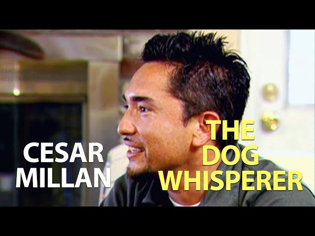 Cesar Millan - The Dog Whisperer