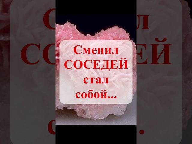 Сменил СОСЕДЕЙ - стал собой! #авторскиеукрашения #украшения #jewelry #украшенияручнойработы