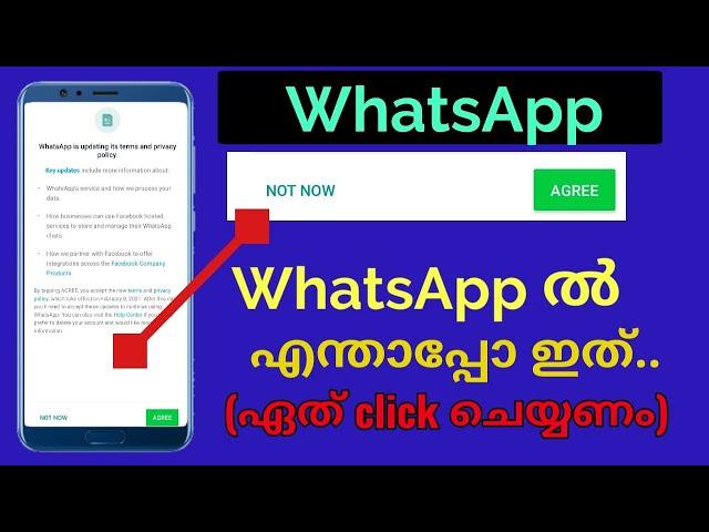 Whatsapp new Rule 2021 | Your Whatsapp account may be deleted | whatsapp new terms and conditions