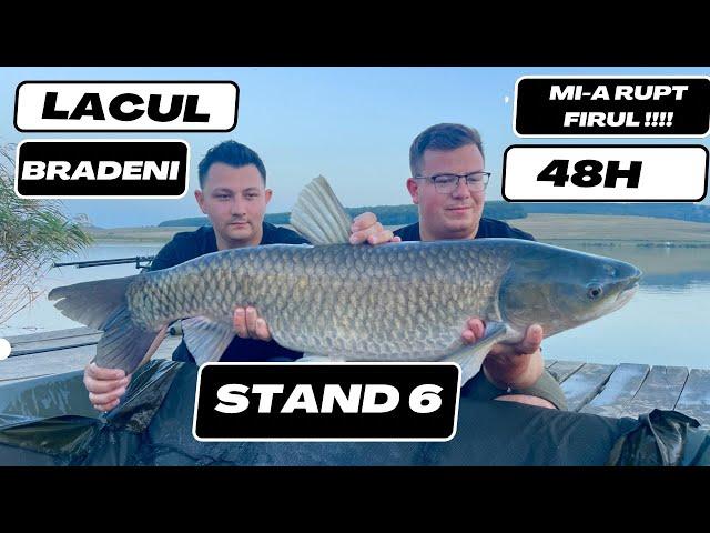 Pescuit la crap pe lacul Bradeni . Namol VS Pungi PVA (bag-uri), stand6, 4K #nature #carpfishing #4k