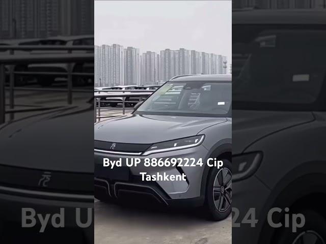 Byd UP #byd #tashkent #moshinabozor