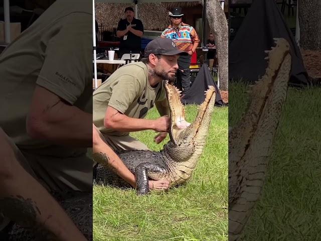 Крокодил укусил мужчину! Crocodile attack man! #animals #crocodile #leon #cat #dog #extreme