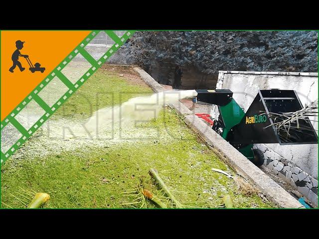 AgriEuro Premium Line Petrol Garden Shredder, Loncin G420F, electric start - Customer's video